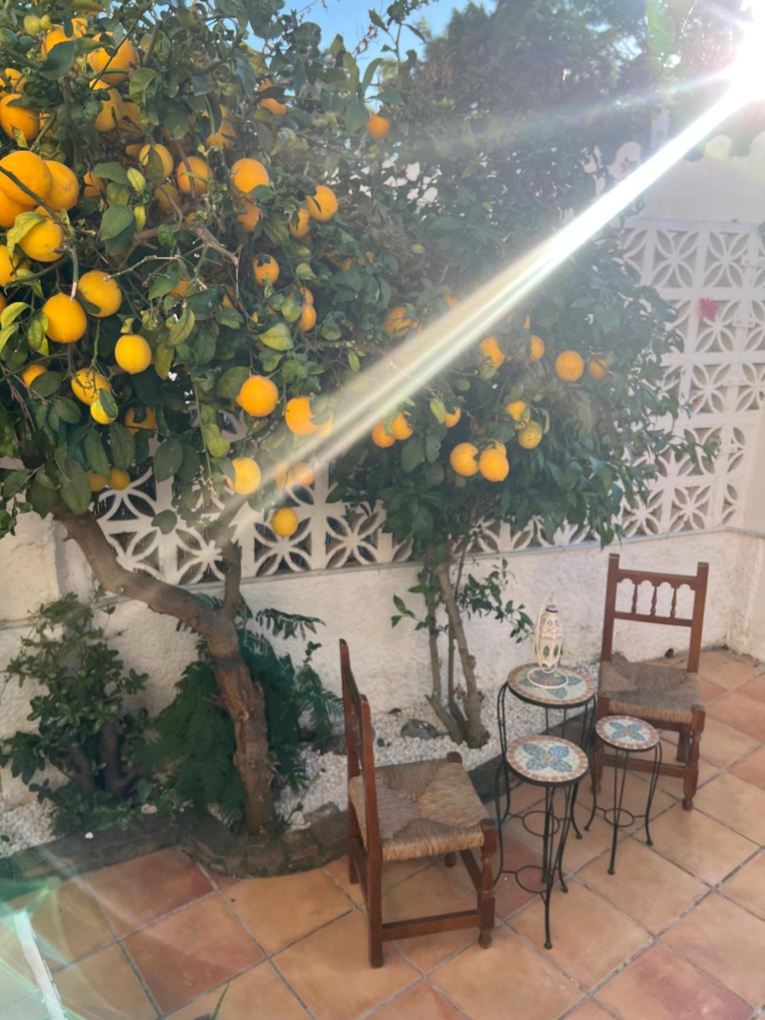 Casa Golf Mediterraneo 베날마데나코스타 외부 사진